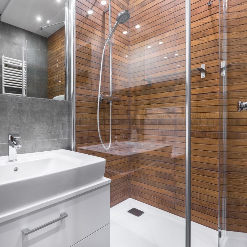 Contemporary Shower Setup